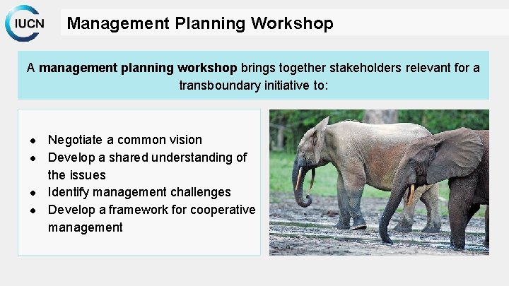 Management Planning Workshop A management planning workshop brings together stakeholders relevant for a transboundary