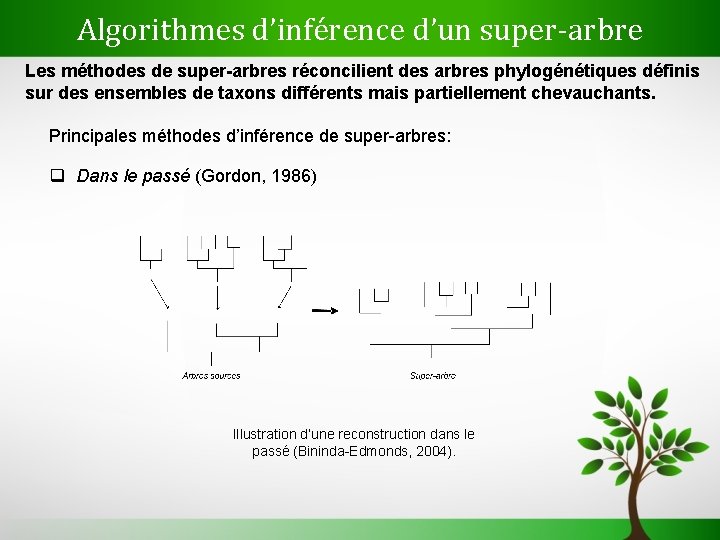 Algorithmes d’inférence d’un super-arbre Les méthodes de super-arbres réconcilient des arbres phylogénétiques définis sur