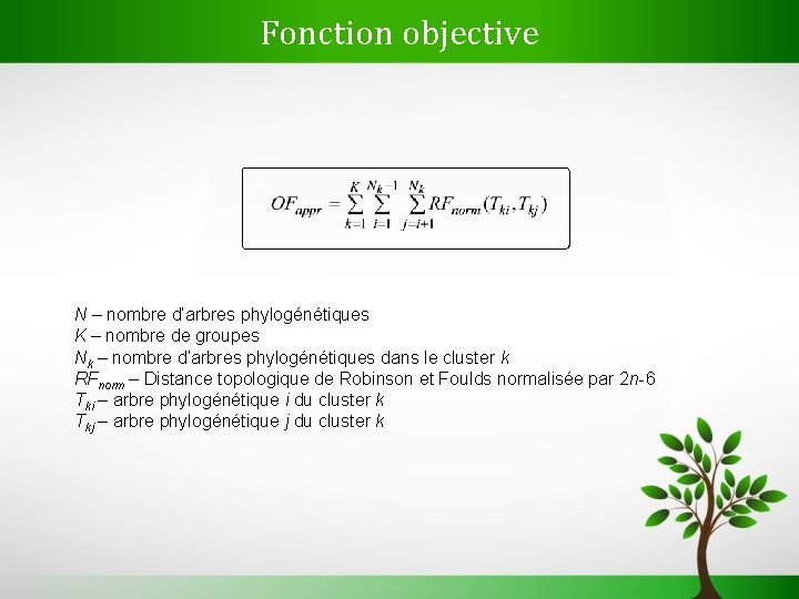 Fonction objective N – nombre d’arbres phylogénétiques K – nombre de groupes Nk –