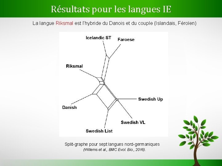 Résultats pour les langues IE La langue Riksmal est l’hybride du Danois et du