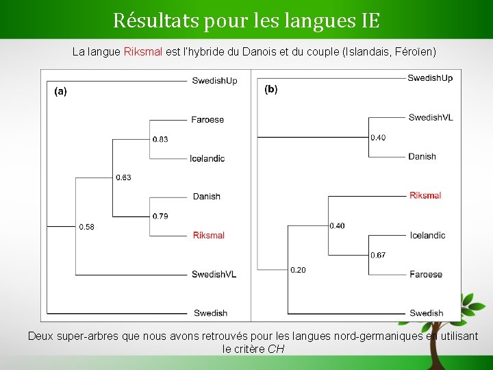 Résultats pour les langues IE La langue Riksmal est l’hybride du Danois et du