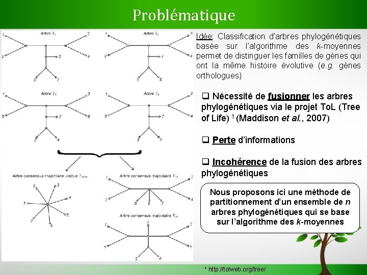 Problématique Idée: Classification d’arbres phylogénétiques basée sur l’algorithme des k-moyennes permet de distinguer les