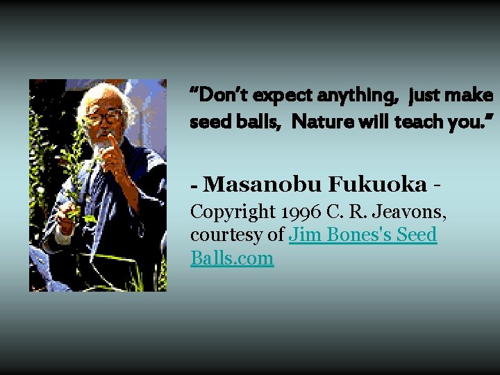  “Don’t expect anything, just make seed balls, Nature will teach you. ” -