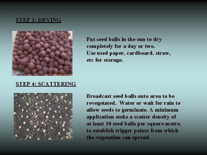 STEP 3: DRYING Put seed balls in the sun to dry completely for a