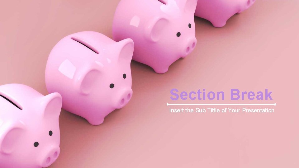 Section Break Insert the Sub Tittle of Your Presentation 