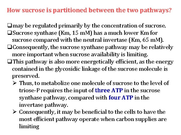 How sucrose is partitioned between the two pathways? qmay be regulated primarily by the