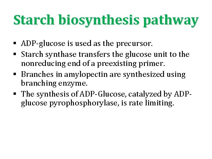 Starch biosynthesis pathway § ADP‐glucose is used as the precursor. § Starch synthase transfers