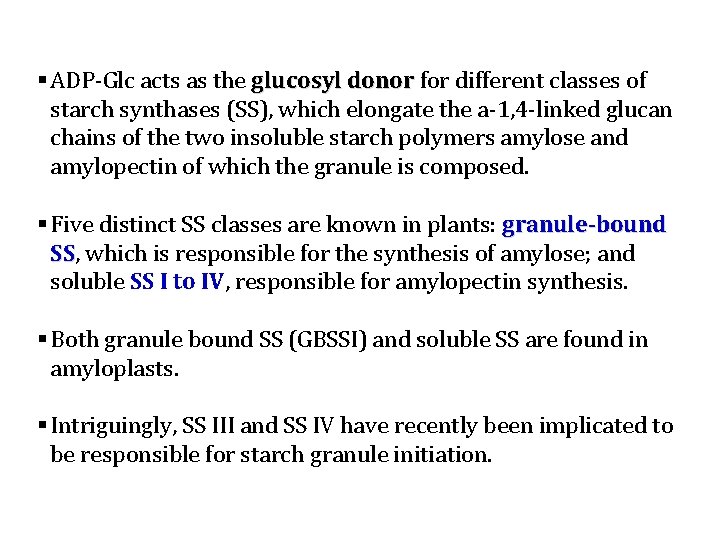 § ADP‐Glc acts as the glucosyl donor for different classes of starch synthases (SS),