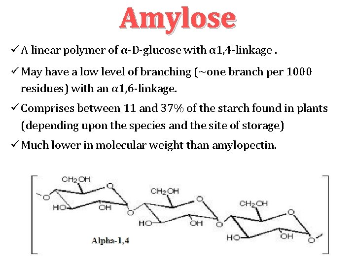 Amylose A linear polymer of α‐D‐glucose with α 1, 4‐linkage. May have a low