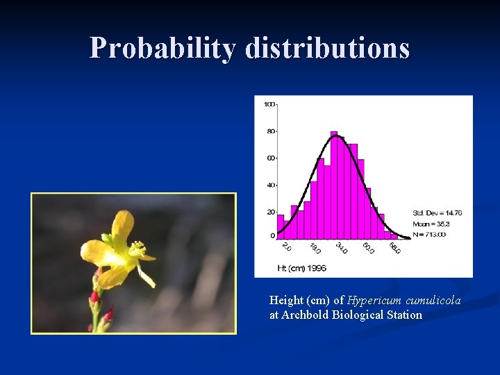 Probability distributions n We use probability distributions because they work –they fit lots of