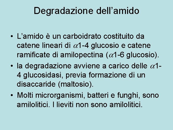 Degradazione dell’amido • L’amido è un carboidrato costituito da catene lineari di 1 -4