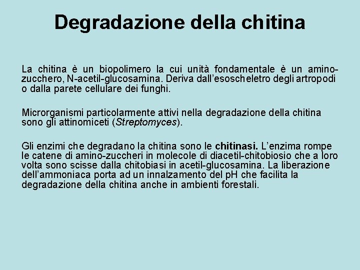 Degradazione della chitina La chitina è un biopolimero la cui unità fondamentale è un