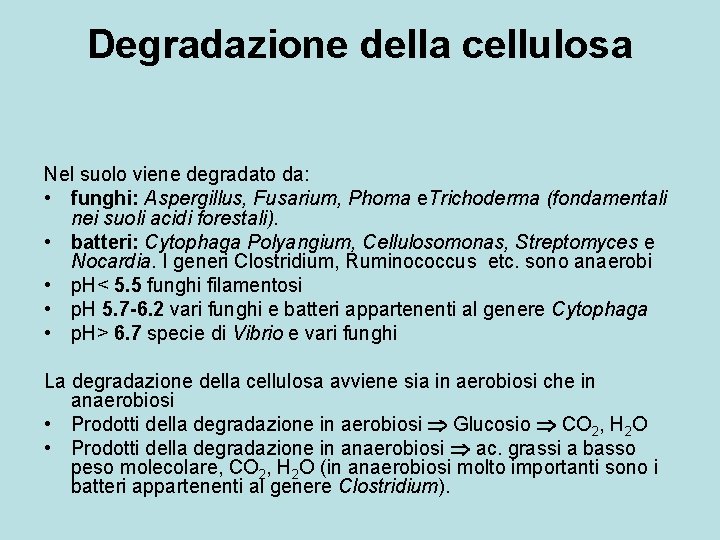 Degradazione della cellulosa Nel suolo viene degradato da: • funghi: Aspergillus, Fusarium, Phoma e.