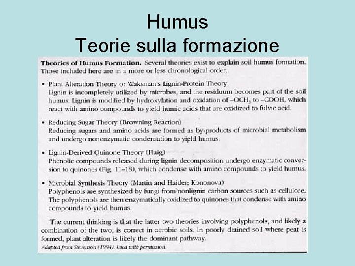 Humus Teorie sulla formazione 