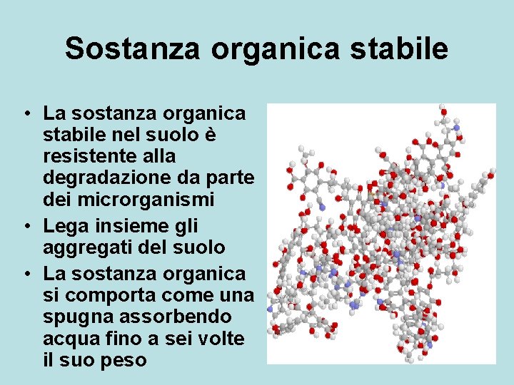 Sostanza organica stabile • La sostanza organica stabile nel suolo è resistente alla degradazione