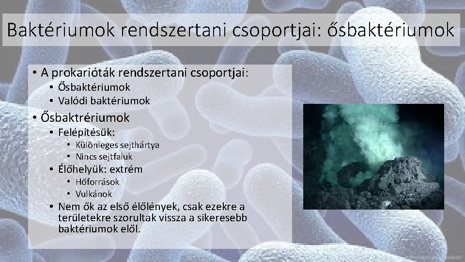 Baktériumok rendszertani csoportjai: ősbaktériumok • A prokarióták rendszertani csoportjai: • Ősbaktériumok • Valódi baktériumok