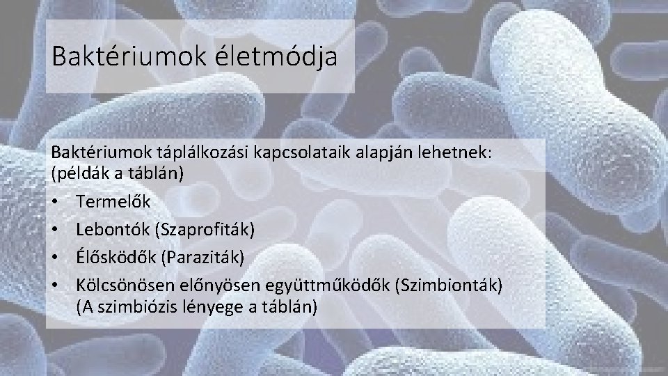 Baktériumok életmódja Baktériumok táplálkozási kapcsolataik alapján lehetnek: (példák a táblán) • Termelők • Lebontók
