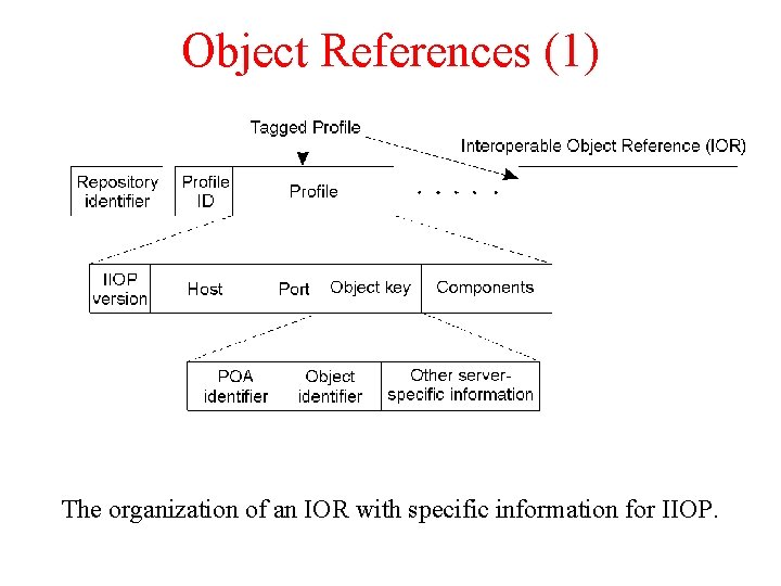 Object References (1) The organization of an IOR with specific information for IIOP. Object References (1) The organization of an IOR with specific information for IIOP.