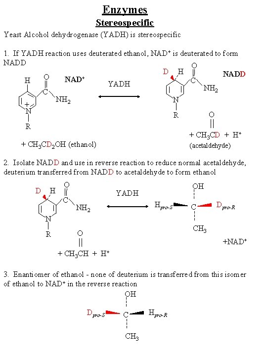 Enzymes Stereospecific Yeast Alcohol dehydrogenase (YADH) is stereospecific 1. If YADH reaction uses deuterated