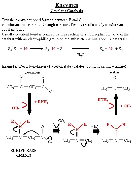 Enzymes Covalent Catalysis Transient covalent bond formed between E and S Accelerates reaction rate