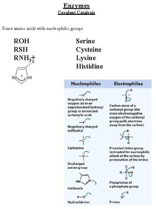 Enzymes Covalent Catalysis Some amino acids with nucleophilic groups ROH RSH RNH 3+R HN
