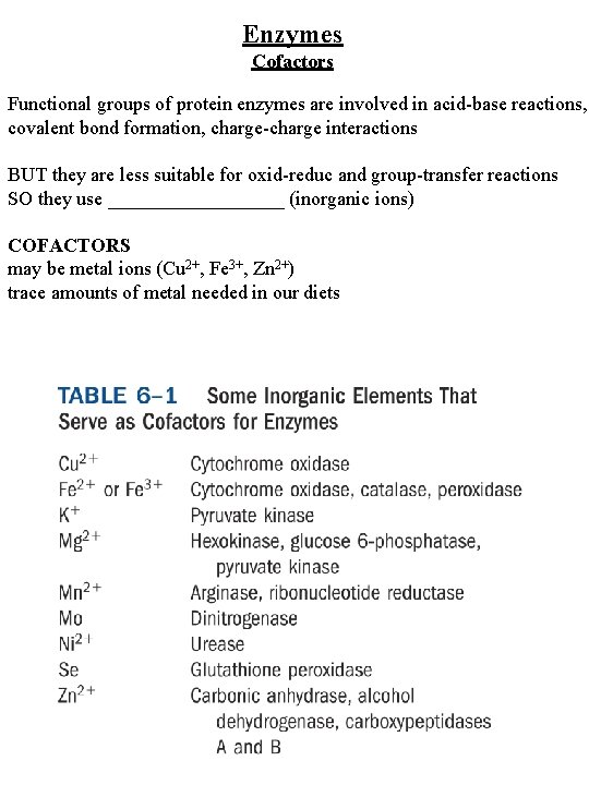 Enzymes Cofactors Functional groups of protein enzymes are involved in acid-base reactions, covalent bond