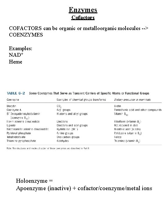 Enzymes Cofactors COFACTORS can be organic or metalloorganic molecules --> COENZYMES Examples: NAD+ Heme