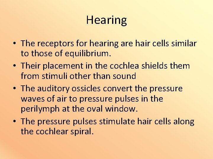 Hearing • The receptors for hearing are hair cells similar to those of equilibrium.