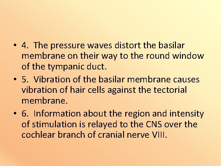  • 4. The pressure waves distort the basilar membrane on their way to