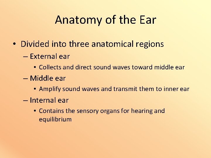 Anatomy of the Ear • Divided into three anatomical regions – External ear •