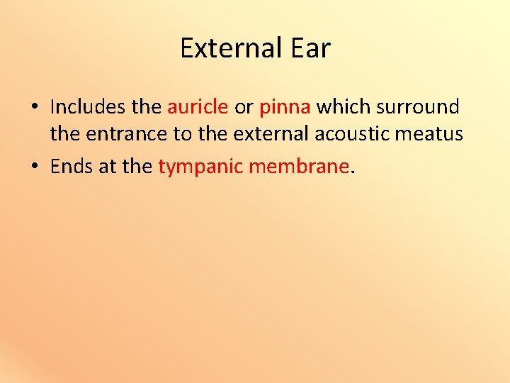 External Ear • Includes the auricle or pinna which surround the entrance to the