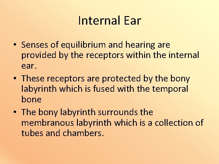 Internal Ear • Senses of equilibrium and hearing are provided by the receptors within