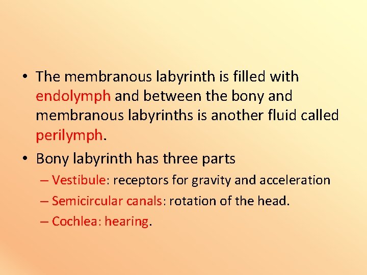  • The membranous labyrinth is filled with endolymph and between the bony and