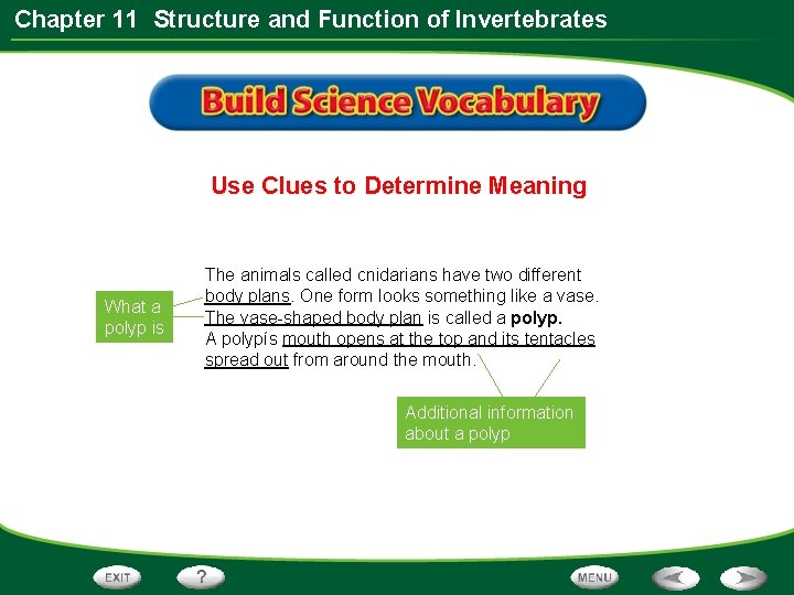 Chapter 11 Structure and Function of Invertebrates Use Clues to Determine Meaning What a