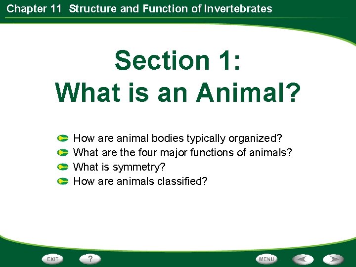 Chapter 11 Structure and Function of Invertebrates Section 1: What is an Animal? How