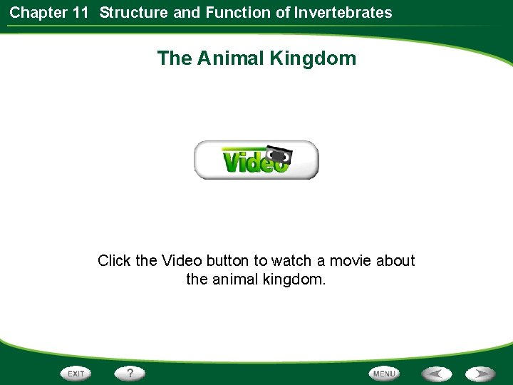 Chapter 11 Structure and Function of Invertebrates The Animal Kingdom Click the Video button