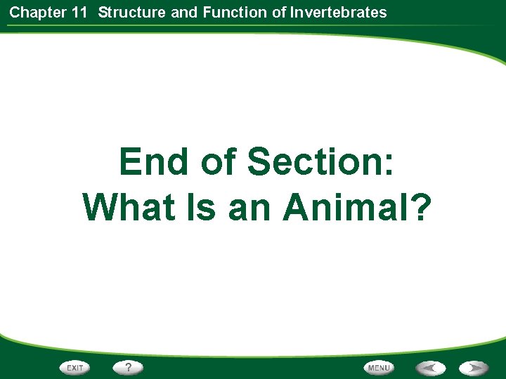Chapter 11 Structure and Function of Invertebrates End of Section: What Is an Animal?