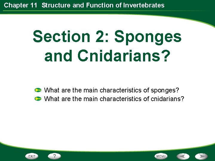 Chapter 11 Structure and Function of Invertebrates Table