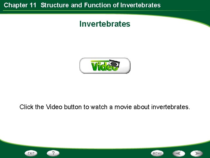 Chapter 11 Structure and Function of Invertebrates Click the Video button to watch a