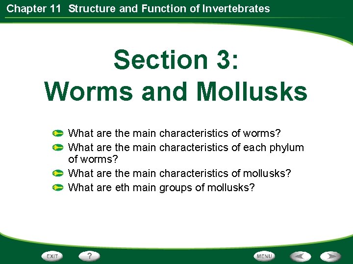 Chapter 11 Structure and Function of Invertebrates Section 3: Worms and Mollusks What are