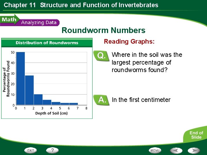 Chapter 11 Structure and Function of Invertebrates Roundworm Numbers Reading Graphs: Where in the