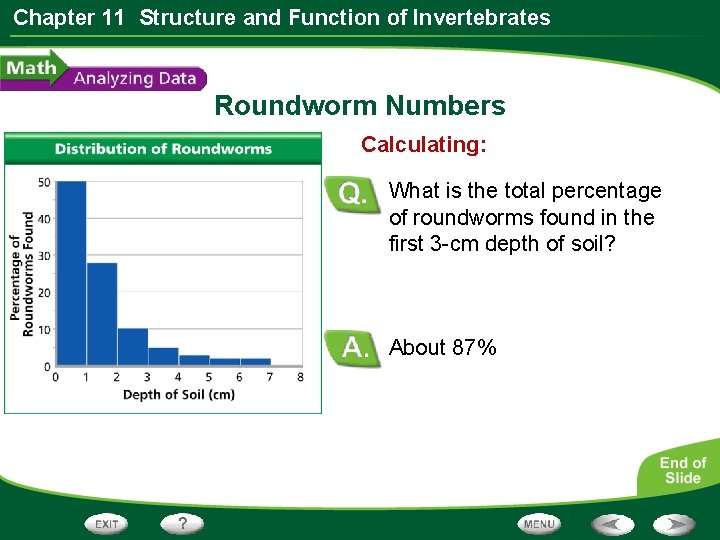 Chapter 11 Structure and Function of Invertebrates Roundworm Numbers Calculating: What is the total