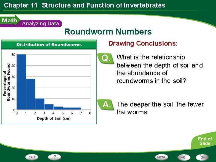 Chapter 11 Structure and Function of Invertebrates Roundworm Numbers Drawing Conclusions: What is the