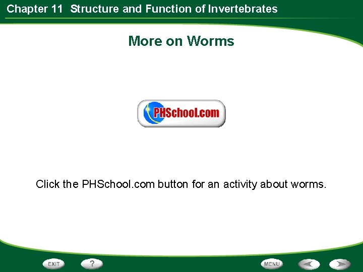 Chapter 11 Structure and Function of Invertebrates More on Worms Click the PHSchool. com