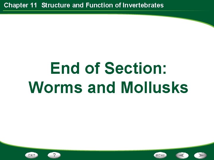 Chapter 11 Structure and Function of Invertebrates End of Section: Worms and Mollusks 