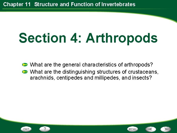 Chapter 11 Structure and Function of Invertebrates Section 4: Arthropods What are the general
