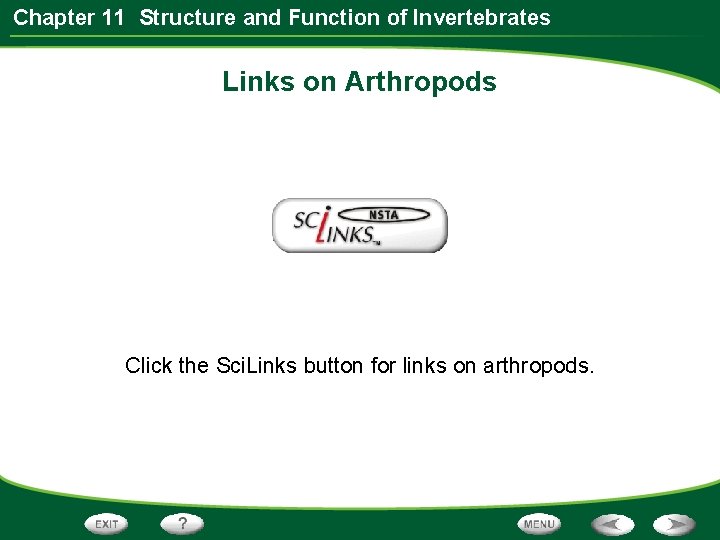 Chapter 11 Structure and Function of Invertebrates Links on Arthropods Click the Sci. Links