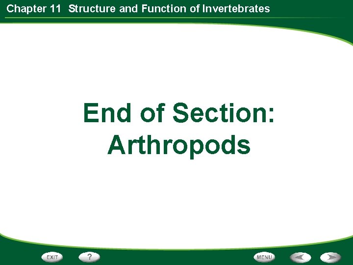Chapter 11 Structure and Function of Invertebrates End of Section: Arthropods 