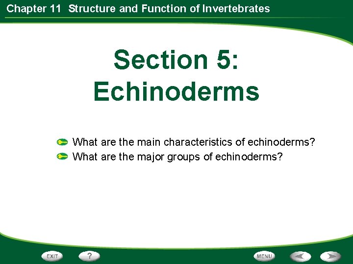 Chapter 11 Structure and Function of Invertebrates Section 5: Echinoderms What are the main