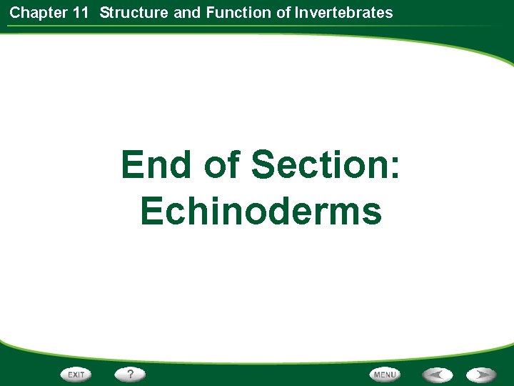 Chapter 11 Structure and Function of Invertebrates End of Section: Echinoderms 